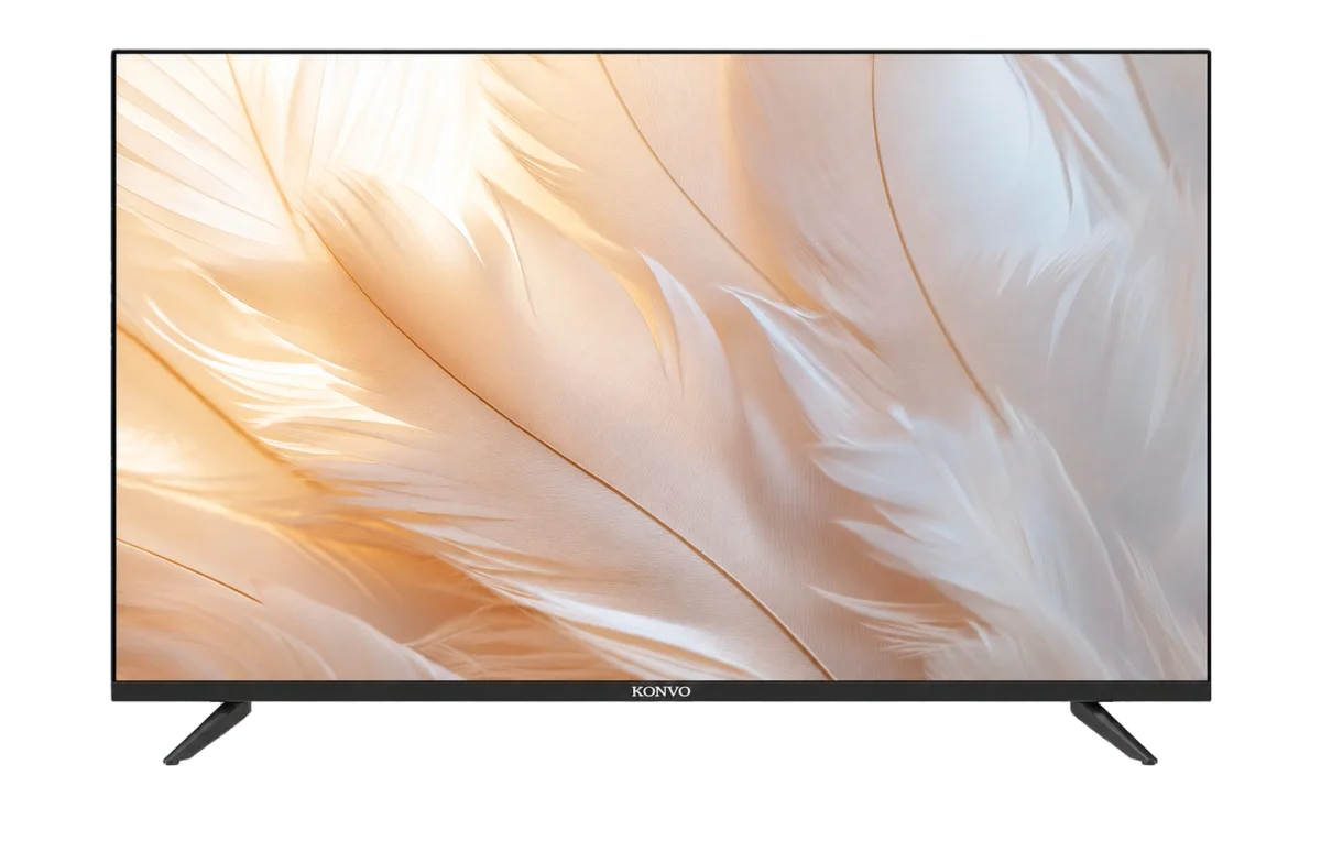 CinemaView 55"